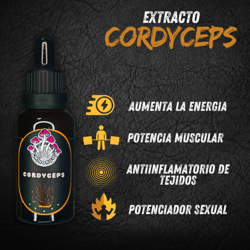 extracto 2 1
