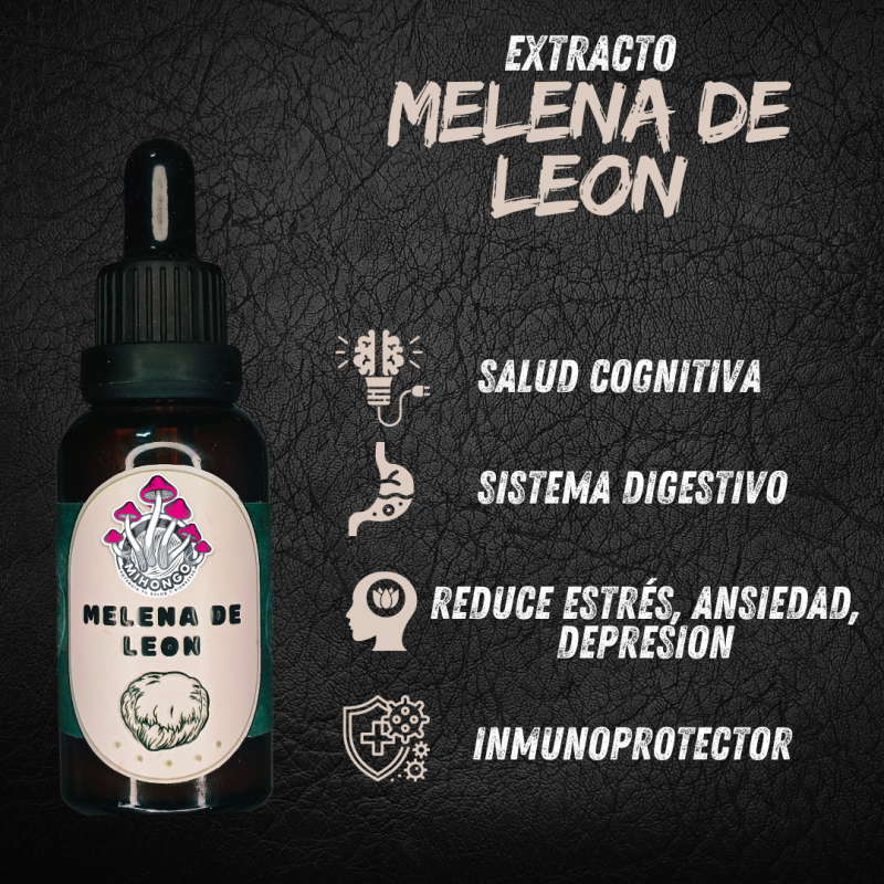 extracto 3 1